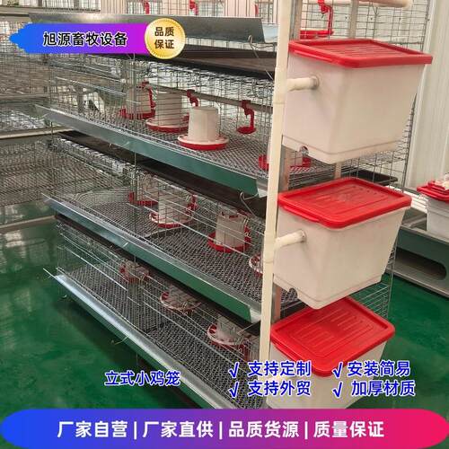 养鸡场立式育雏笼四层两门小鸡笼加粗加密镀锌防锈笼网育雏笼