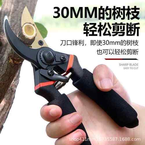 发园林修枝剪刀果树剪枝粗枝剪工人修花园艺剪修剪型树枝剪