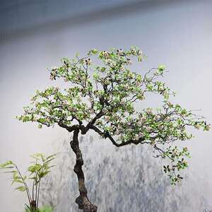 仿真海岛春花绿植室内装饰造景落地摆件大型简约假树仿真树景观树