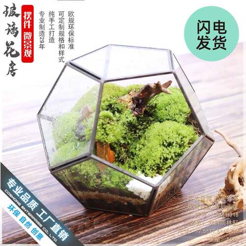 厂家直销爆款十二面体中玻璃花房绿植透明创意苔藓微景观多肉花盆