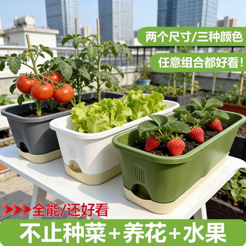 食品级环保阳台种菜盆长方形大容量易排水蔬菜种植箱家用花盆套装