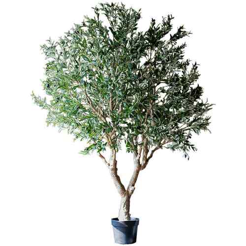 掬涵 仿真橄榄树绿植盆景大型植物假盆栽树北欧落地室内装饰摆件