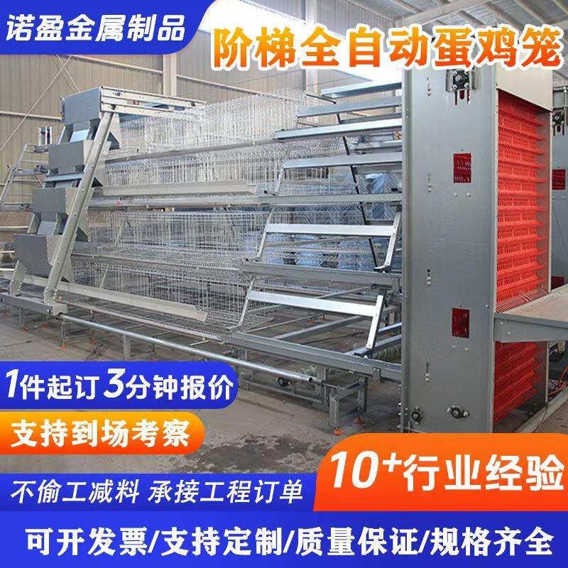 A型阶梯蛋鸡笼背负式自动喂料机全套养鸡设备自动捡蛋机鸡舍养殖