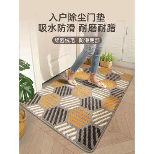 入户门地垫家用轻奢加厚吸水防滑脚垫玄关高端定制进门可裁剪地毯