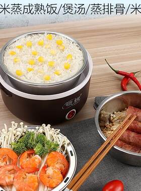 电热饭盒可插电加热保温热饭蒸煮带饭锅饭煲小上班族1人便携