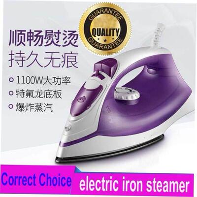 electric compact iron steam soleplate clothes steamer 电熨斗