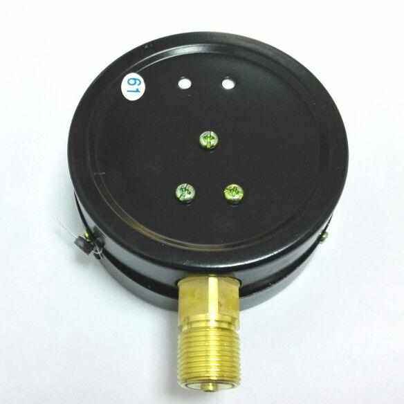 。雷尔达仪表压力表 Y-100 0～0.6mpa 直径100mm 铜螺纹m20x1.5