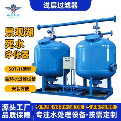 浅层过滤器景观湖死水净化器50吨/小时碳钢效循环水过滤设备