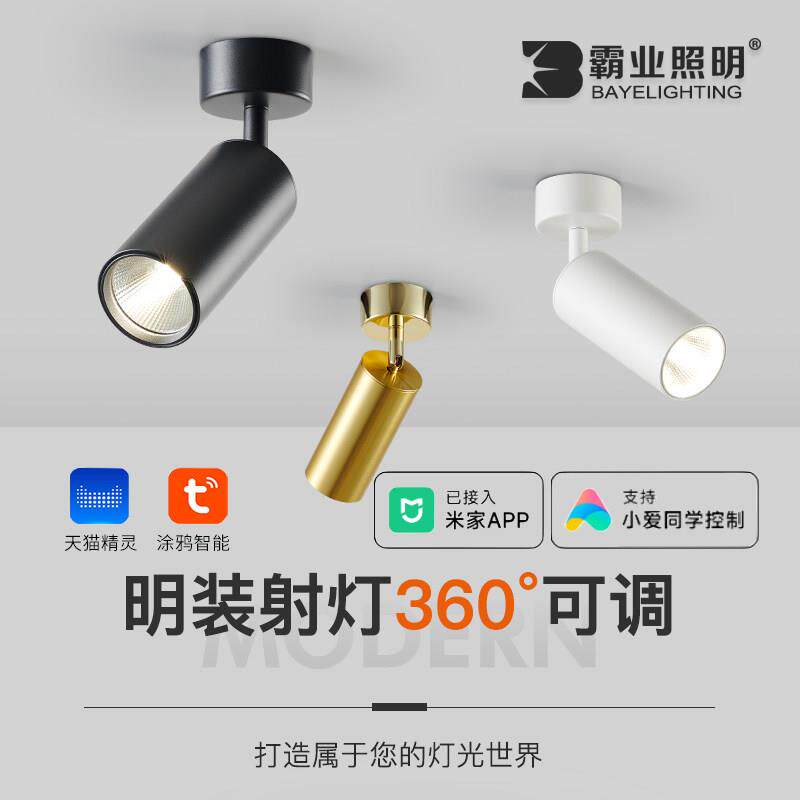 明装射灯可调角度家用背景墙吸顶式聚光照画 画全光谱单个小金色
