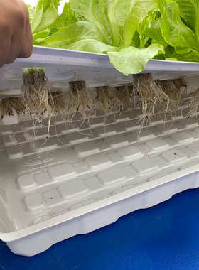 批发1.2米28孔1.532无土栽培潮汐花盆水培育苗温室大棚种植