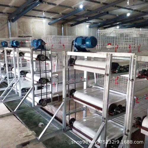 皮带式清粪输送设备大型养殖厂可用清粪设备宏伟自动化清粪机