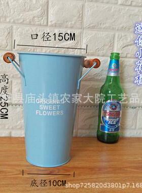 鲜花鲜花养花干花花盆装饰摆件