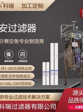定制精密过滤器纯水反渗透芯式过滤设备不锈钢304保安过滤机