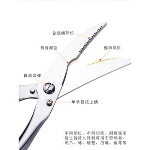 IRONX厨房剪刀不锈钢强力鸡骨剪家用多功能自动回弹骨头剪子