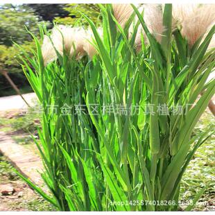 仿真绿地湿类常青植植物芦苇叶芦春秋色大叶NDN苇花叶芦苇花干花