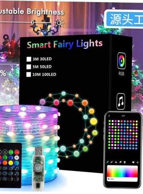 Dreamcolor Christmas Lights String BT Music WS2812B RGBIC