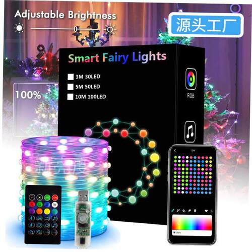 Dreamcolor Christmas Lights String BT Music WS2812B RGBIC