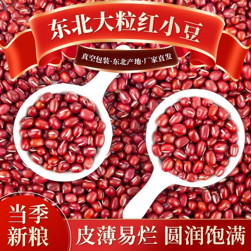 东北大粒红小豆2025年新货红豆吉林农家自产直销红赤小豆红赤豆