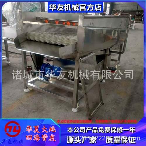 多功能辣椒毛刷去皮清洗机全自动橘子打蜡平行毛辊清洗设备