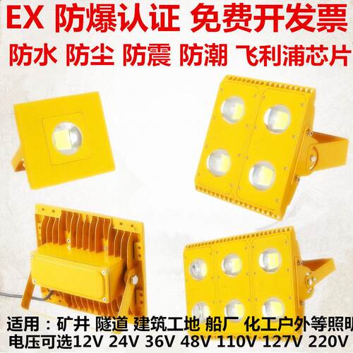 交直流36v防爆灯12V24V直流220v防爆投光灯110v127V48v台车灯220v