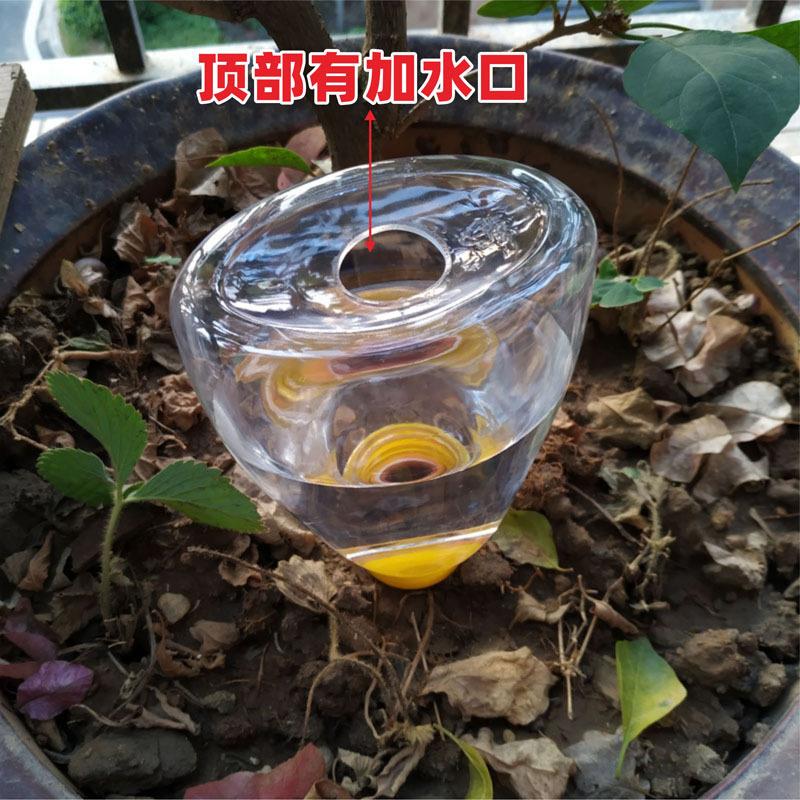 陶瓷渗水器淋花多肉浇水洒水滴灌系统滴灌管自动浇水