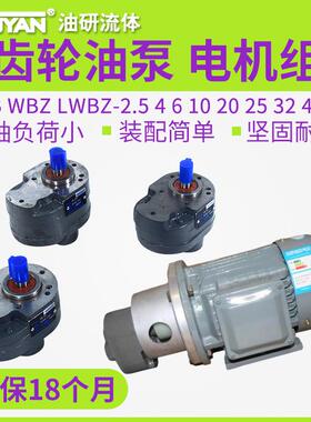 LWBZ齿轮泵CB-BM液压CB-B10油泵6/4/16/20/25/32/40/50/63/80/100