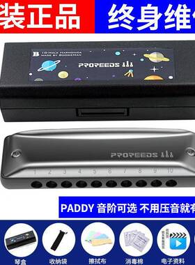 ProReeds十孔布鲁斯蓝调儿童成人初学10孔口琴BM PR Boogieman