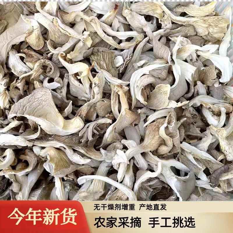 新货平菇干货500g干蘑菇干菌菇类食用白菇干平菇丝条非凤尾菇