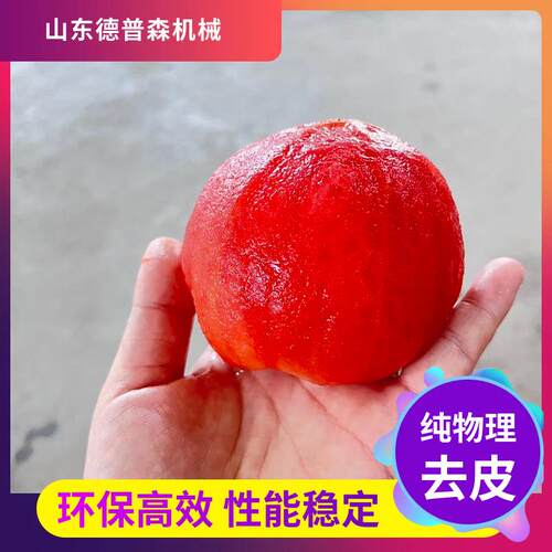山东多功能商用番茄芋头无花果剥皮机全自动果蔬加工成套去皮设备