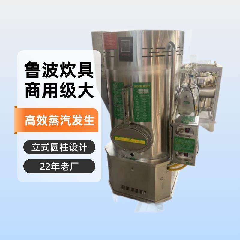 厂家燃气蒸汽发生器立式圆柱形蒸饭蒸汽机酿酒蒸汽发生器