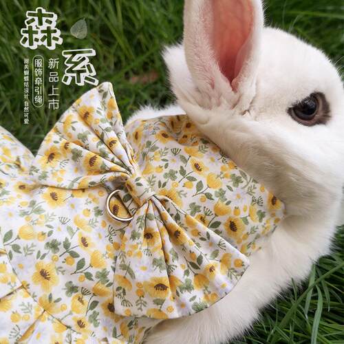 宠物兔趣子咪衣服牵绳兔兔幼猫引猫垂耳兔0074服饰出游萌可爱出街