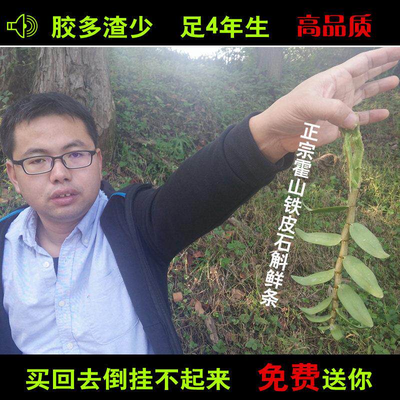 霍山铁皮石斛鲜条买3送1四年生石斛胶质饱满新鲜铁皮石斛枫斗正品