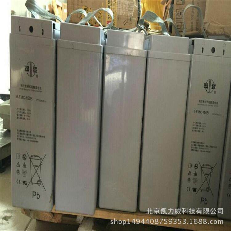 双登蓄电池6-FMX-150A免维护12V150AH狭长型蓄电池