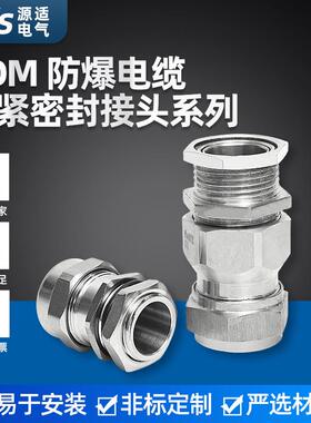 铠装防爆电缆接头 不锈钢防爆填料函 BDM防爆电缆夹紧密封接头