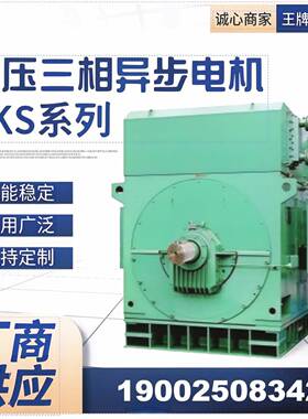 厂家供应生产高压电机YS系列4505-10355W6000V电机
