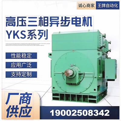 厂家直销YS8001-45000W6000V6V1500rpm高压电机