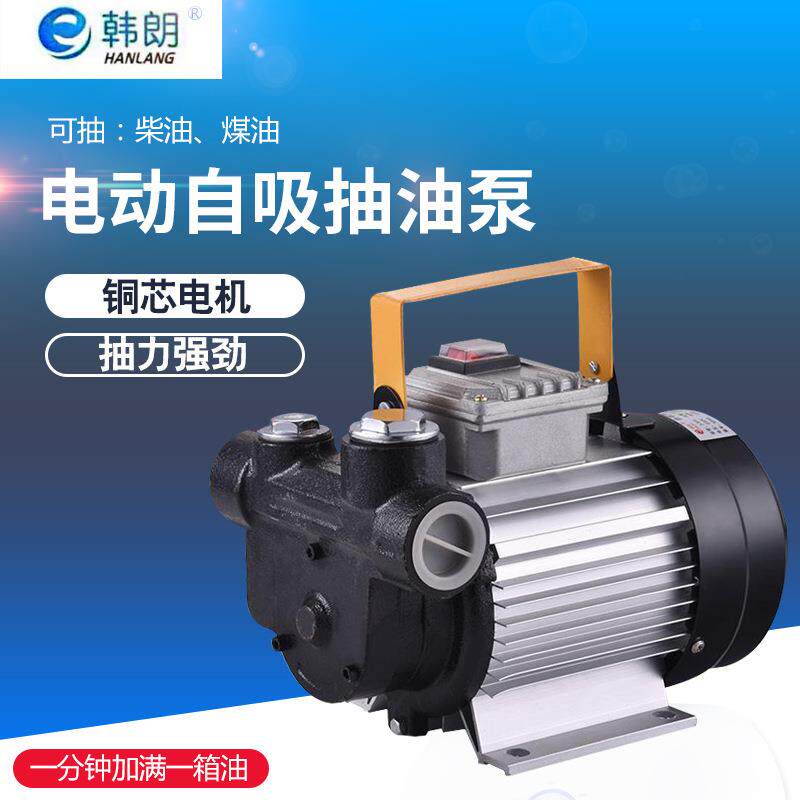 韩朗家用手提移动加油机大流量高扬程电动自吸柴油煤油抽油泵