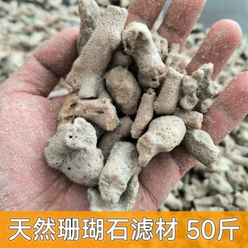 珊瑚石过滤锦鲤鱼池净水培菌滤材珊瑚沙海鲜池商用鱼缸珊瑚骨滤材