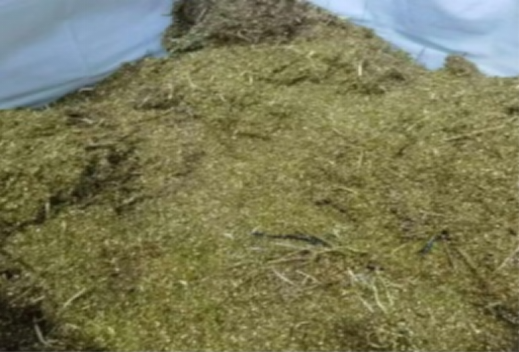 1月22日苏州铜刨花、废铁报废零件等一批网络拍卖公告