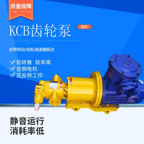 厂家供应KCB齿轮油泵铸铁微型泵小型齿轮泵KCB齿轮式输油泵