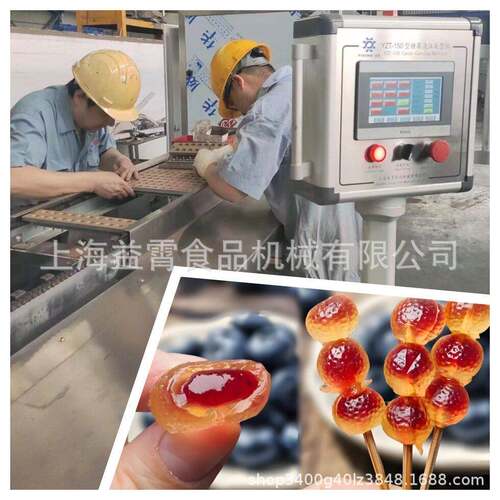 上海益霄卡拉胶糖果生产线 双色立体软糖成型机浇注糖果设备价格