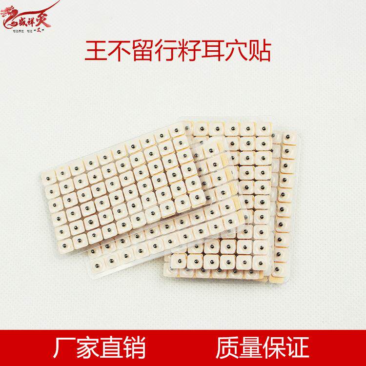耳穴贴 王不留行籽贴 耳豆贴 王不留型按摩贴 王不留行耳贴