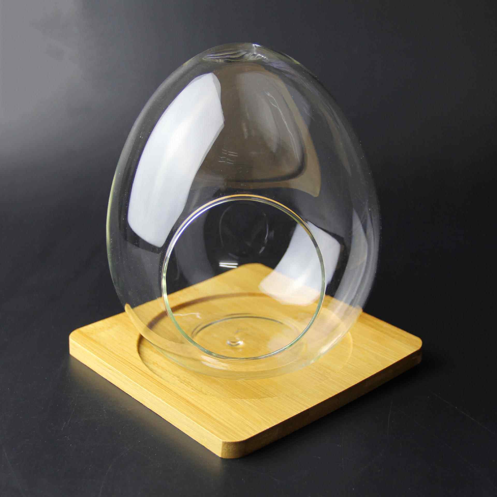 苔藓植物造景容器 微景观生态瓶 DIY多肉玻璃瓶 蛋形 鸡蛋瓶