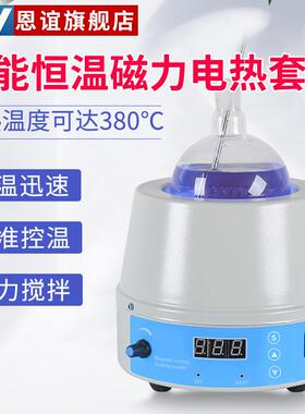 恩谊数显恒温电热套调温电加热套磁力搅拌电热套实验室250ml500ml
