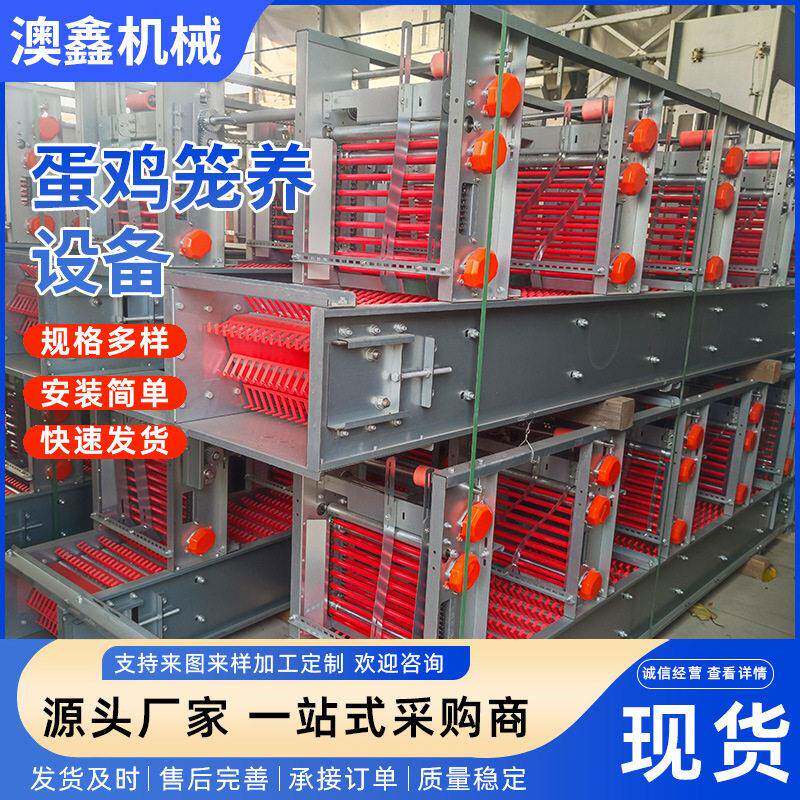 养鸡场自动捡蛋机养殖笼养鸡设备自动化三层蛋鸡笼多层鸡笼全自动