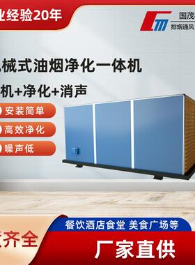 厂家直供油烟净化器餐饮油烟净化低空排放油烟净化器轻松过验收