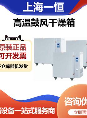 温B室PG-100BH实9验高温鼓风干燥箱GDO恒烘箱