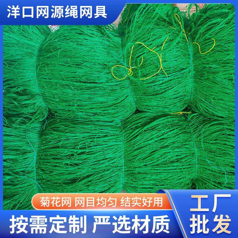 菊花种植网防倒伏网大棚种植方格网园艺植物爬藤网定植大葱菊花韭