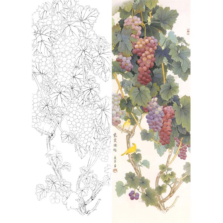 高清工笔画葡萄白描底稿国画花鸟临摹勾线实物素材打印稿L593