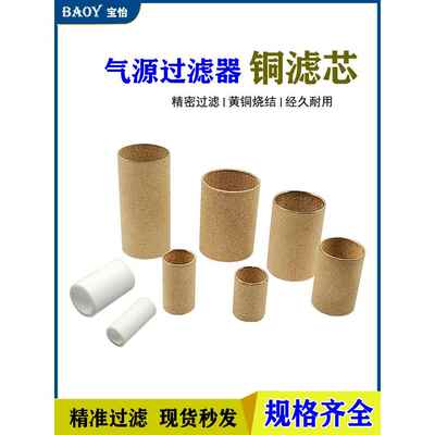 气源处理器过滤器AFR BF AW AF GFR铜滤芯纤维滤芯过滤芯QSL 398
